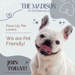 a dog and a graphic about pet friendly at The Madison at Stetson Hills